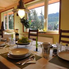 Апартаменты Guest House & Apartment Nabucco with Mountain View Закопане в номере