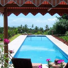 Отель Palmlea Farms Lodge & Bures бассейн
