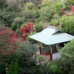 Tokushima Grand Hotel Kairakuen Минамиавадзи фото 2