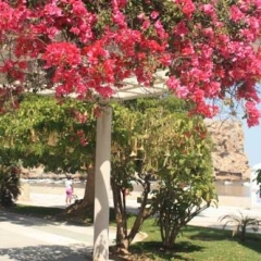 Hotel Embarcadero de Calahonda de Granada парковка