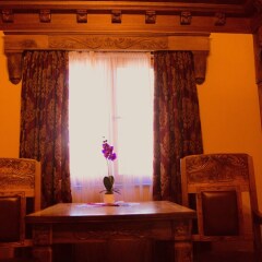 Отель Brilant Antik Hotel Албания, Тирана - отзывы, цены и фото номеров - забронировать отель Brilant Antik Hotel онлайн развлечения