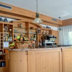 Отель Albergo Trentino гостиничный бар