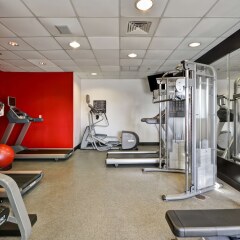 Отель Hilton Garden Inn Sarasota - Bradenton Airport фитнесс-зал фото 4