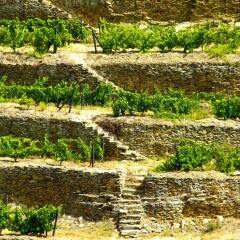 Отель Rural Quinta Do Silval Алижо фото 2