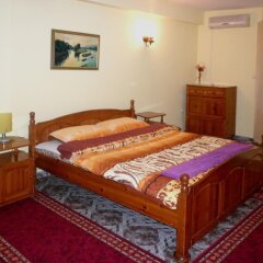 Отель Family Hotel Victoria Gold Болгария, Димитровград - отзывы, цены и фото номеров - забронировать отель Family Hotel Victoria Gold онлайн удобства в номере фото 2