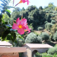 Отель Agriturismo San Giorgio Италия, Казаль-Велино - отзывы, цены и фото номеров - забронировать отель Agriturismo San Giorgio онлайн фото 11