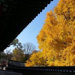 Отель Punggyeong Hanok Guesthouse Южная Корея, Сеул - отзывы, цены и фото номеров - забронировать отель Punggyeong Hanok Guesthouse онлайн