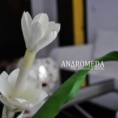 Andromeda Hotel Thessaloniki балкон