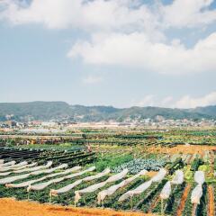Отель Azalea Residences Baguio Филиппины, Багуйо - отзывы, цены и фото номеров - забронировать отель Azalea Residences Baguio онлайн пляж