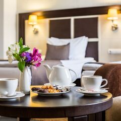 Taurus Hotel & SPA Львов в номере фото 2