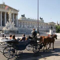 Mercure Hotel Raphael Wien городской автобус