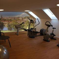 Best Western Hotel Bristol фитнесс-зал фото 3