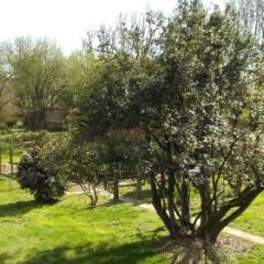 Отель Agriturismo Casa Grande Базильо фото 3