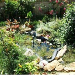 Отель Galina Guest House Болгария, Аврен - отзывы, цены и фото номеров - забронировать отель Galina Guest House онлайн фото 5