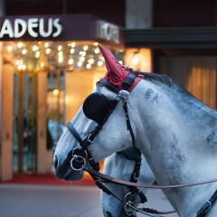 Hotel Amadeus спортивное сооружение