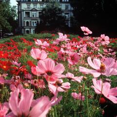 Отель Ensana Grand Margaret Island Венгрия, Будапешт - - забронировать отель Ensana Grand Margaret Island, цены и фото номеров фото 7