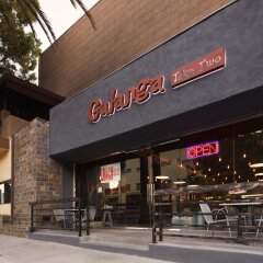 Отель GreenTree Pasadena Inn США, Пасадена - отзывы, цены и фото номеров - забронировать отель GreenTree Pasadena Inn онлайн питание фото 3