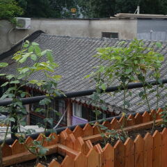 Отель Garden Inn Beijing Китай, Пекин - отзывы, цены и фото номеров - забронировать отель Garden Inn Beijing онлайн фото 2