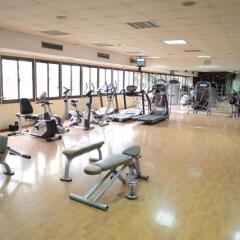 Pyramisa Suites Hotel & Casino Cairo фитнесс-зал фото 3