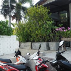 Отель The Nest Resort