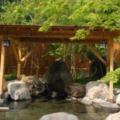 Tsuetate Kanko Hotel Hizenya Минамиогуни фото 3