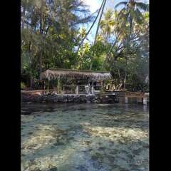 Отель Motu Mapeti - Tahiti Private Island фото 14