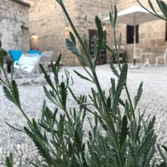 Saint Artemios Boutique Hotel фото 11
