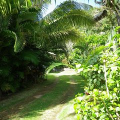 Villa Papaya in The Settlement, Christmas Island from 410$, photos, reviews - zenhotels.com