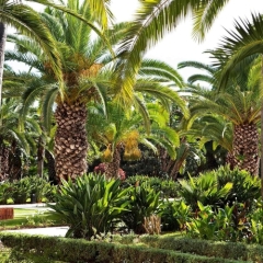 Отель Sofitel Rabat Jardin des Roses фото 4