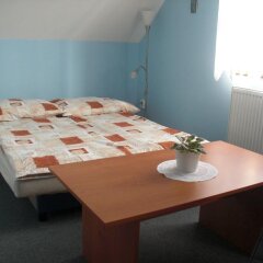 Отель Pension Olga Чехия, Лиса-над-Лабем - отзывы, цены и фото номеров - забронировать отель Pension Olga онлайн комната для гостей фото 2