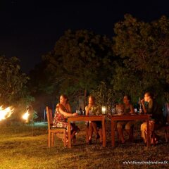 Отель The Yala Adventure фото 14