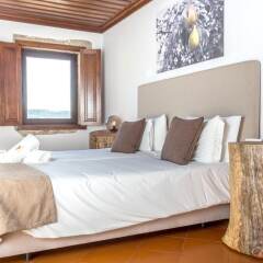 Апартаменты Apartment With one Bedroom in Armamar, With Pool Access, Furnished Terrace and Wifi Армамар комната для гостей фото 2