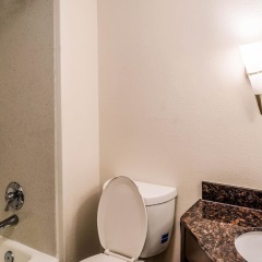 Отель Comfort Inn Downtown Charleston ванная фото 2