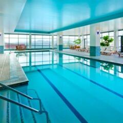 Отель The Westin Bellevue Dresden бассейн