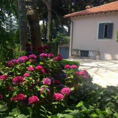 Отель Villa Abbamer фото 13