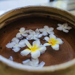 Отель Hoi An Lotus Aroma Villa питание фото 3