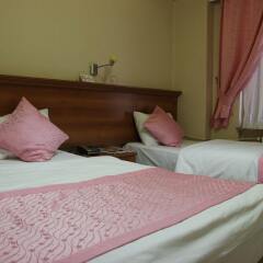 Konak Hotel Турция, Канаккале - отзывы, цены и фото номеров - забронировать отель Konak Hotel онлайн комната для гостей фото 5