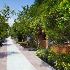 Hotel Ozlem Garden - All Inclusive фото 20