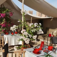 Отель Riad Dar Massaï Марокко, Марракеш - отзывы, цены и фото номеров - забронировать отель Riad Dar Massaï онлайн питание
