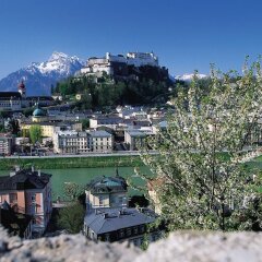 Отель ROSENVILLA Зальцбург фото 9