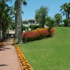 Alanya Cimtur Family House Турция, Окурджалар - отзывы, цены и фото номеров - забронировать отель Alanya Cimtur Family House онлайн фото 3