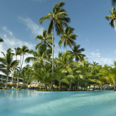 Отель Grand Palladium Punta Cana Resort & Spa - Все включено Доминикана, Пунта Кана - отзывы, цены и фото номеров - забронировать отель Grand Palladium Punta Cana Resort & Spa - Все включено онлайн бассейн фото 2