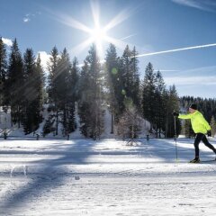 Отель Urbangut Австрия, Кремс - отзывы, цены и фото номеров - забронировать отель Urbangut онлайн фото 6