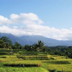 Отель Ti Amo Bali Resort фото 5