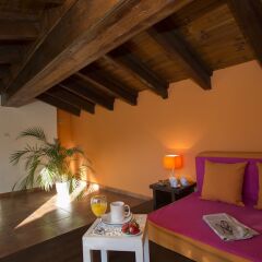Отель SingularStays Botanico 29 Rooms Испания, Валенсия - отзывы, цены и фото номеров - забронировать отель SingularStays Botanico 29 Rooms онлайн спа