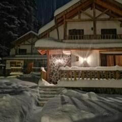 Отель Saint George Holiday Village Болгария, Боровец - отзывы, цены и фото номеров - забронировать отель Saint George Holiday Village онлайн сауна