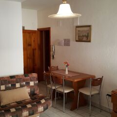 Delphin Apart Hotel Сиде детские мероприятия фото 2