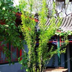 Отель Beijing Double Happiness Hotel Китай, Пекин - отзывы, цены и фото номеров - забронировать отель Beijing Double Happiness Hotel онлайн фото 7