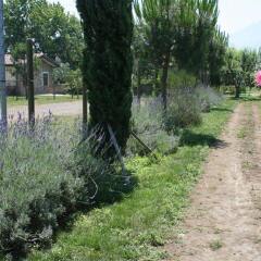 Отель Azienda Agrituristica Vivi Natura Италия, Помпеи - отзывы, цены и фото номеров - забронировать отель Azienda Agrituristica Vivi Natura онлайн фото 15