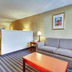 Отель Econo Lodge Vicksburg США, Виксбург - отзывы, цены и фото номеров - забронировать отель Econo Lodge Vicksburg онлайн комната для гостей
